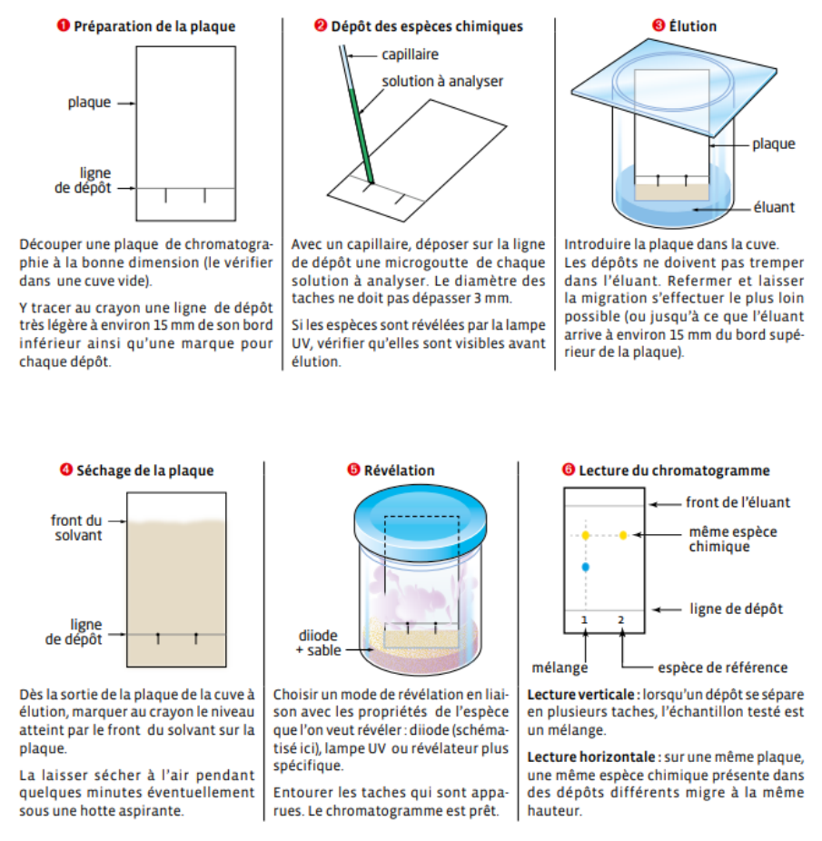 Protocole expérimental de la CCM