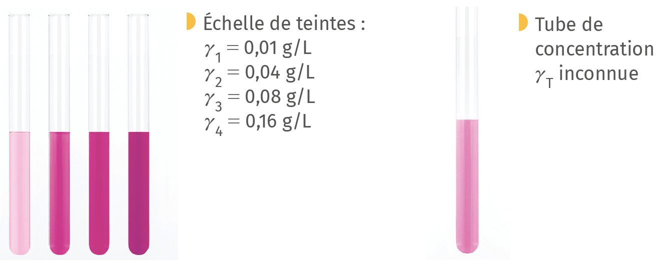 Echelle de teinte